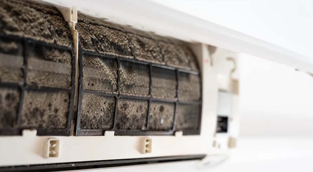 Why Choose Restoration Masters to deal with black mold