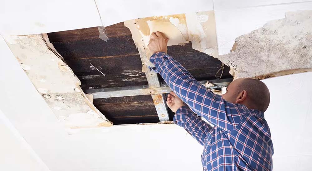 Expert Solutions for Professional Ceiling Water Damage Repair