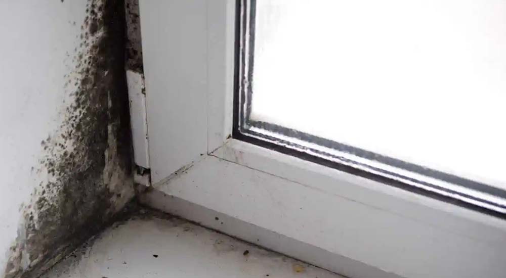 Why Choose Restoration Masters to deal with black mold on windowsill
